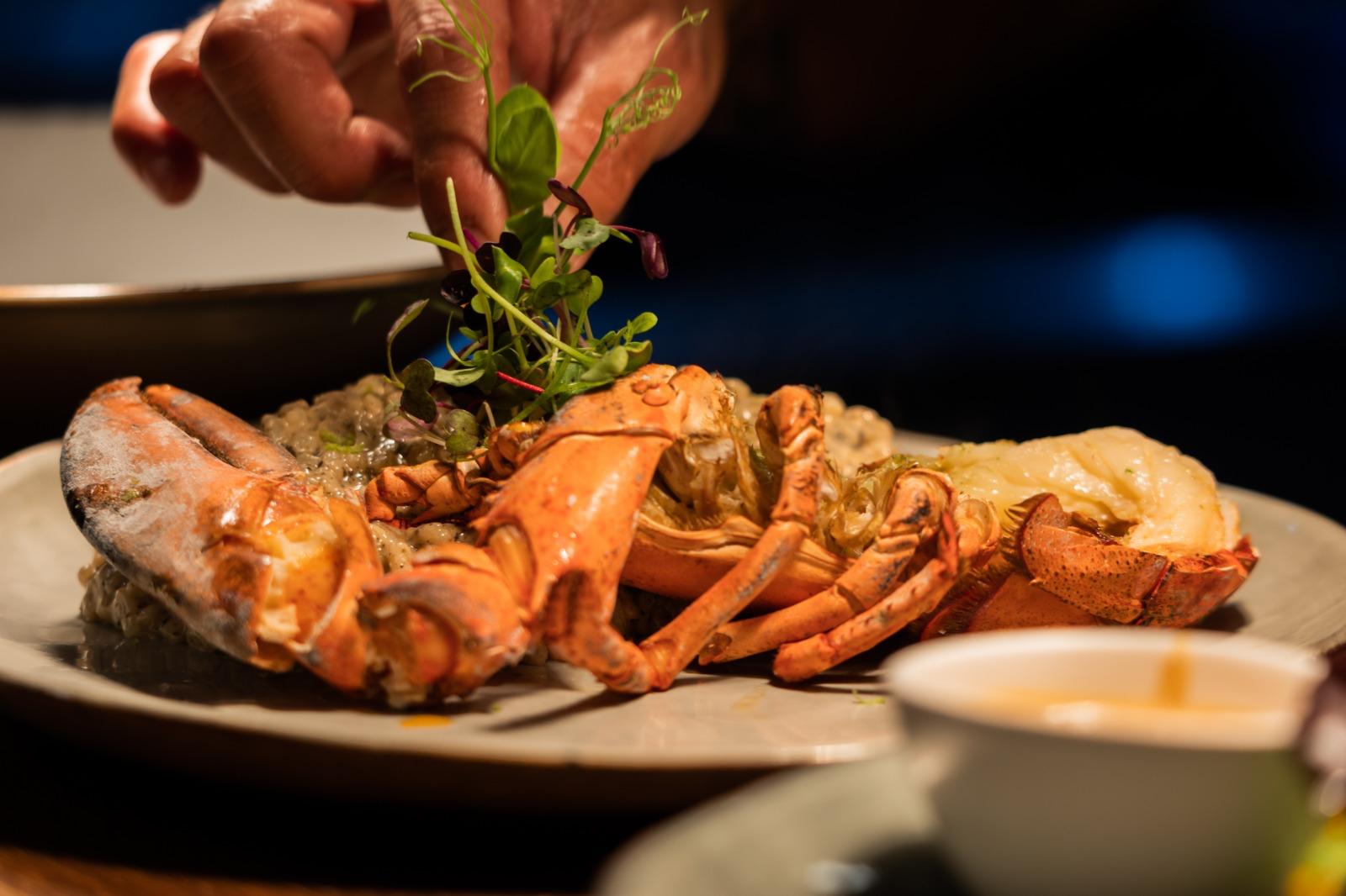 Lobster risotto